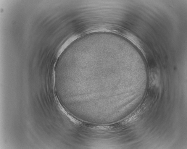 X0000060781290200511241810