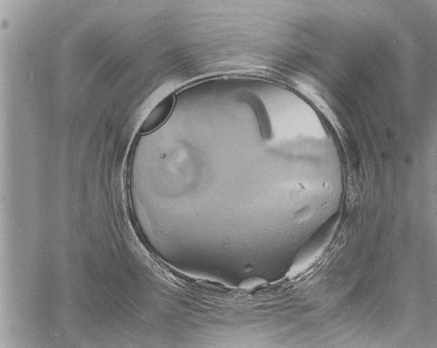 X0000060781291200511241810