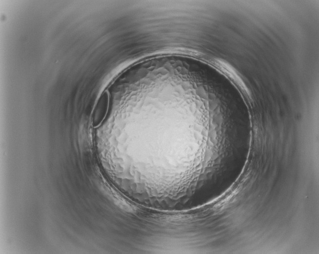 X0000060781292200511241810