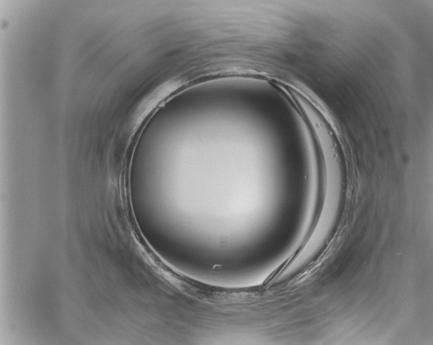 X0000060781293200511241810