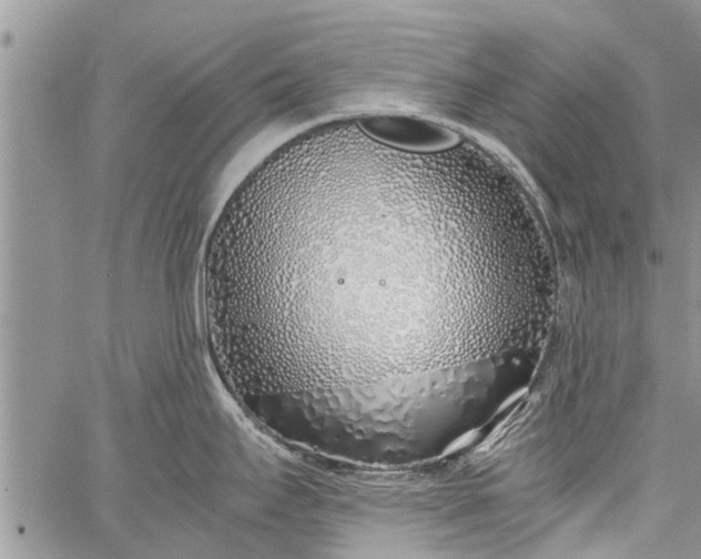 X0000060781295200511241810