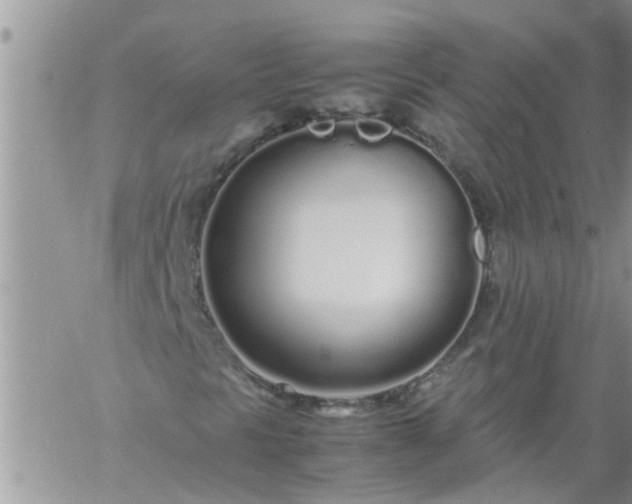 X0000060781297200511241809