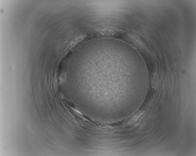 X0000060781298200511241809