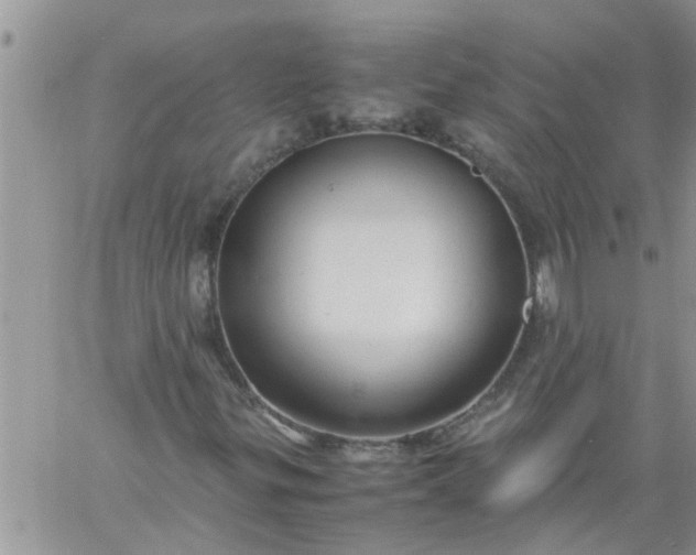 X0000060781299200511241809