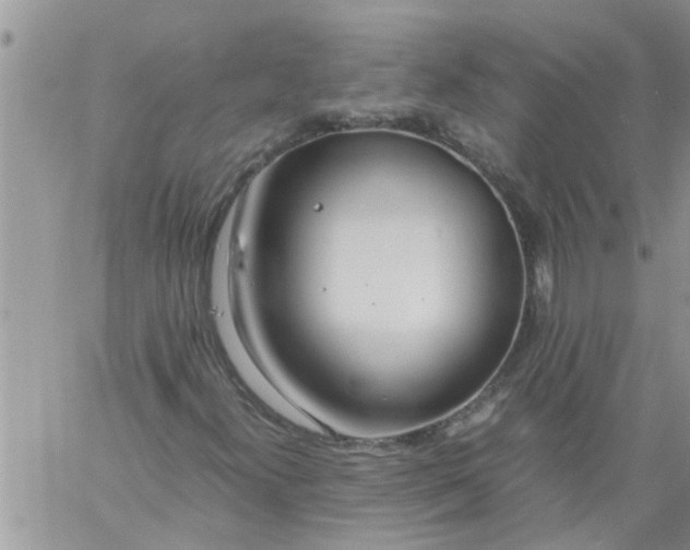 X0000060781300200511241809