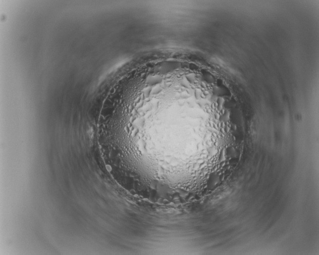 X0000060781302200511241809