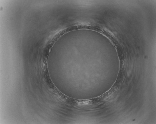 X0000060781303200511241809