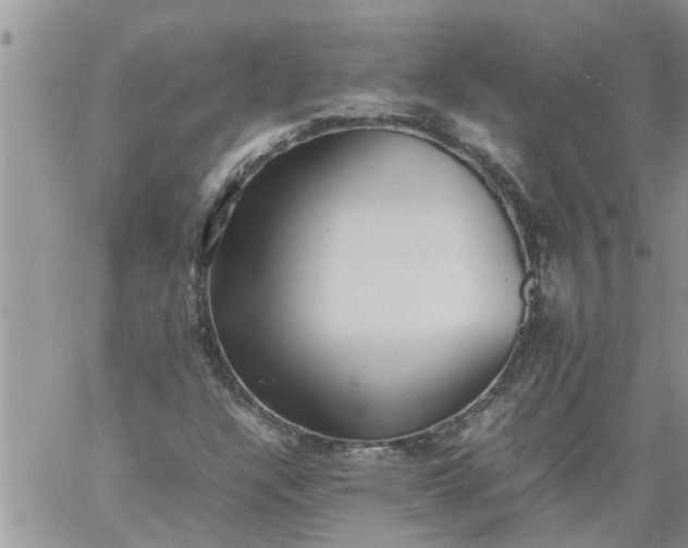 X0000060781304200511241809