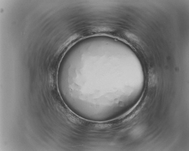 X0000060781305200511241809