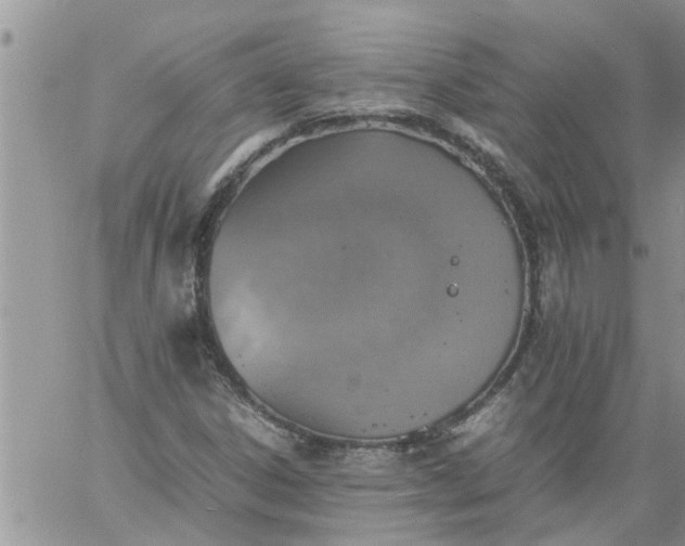 X0000060781306200511241809