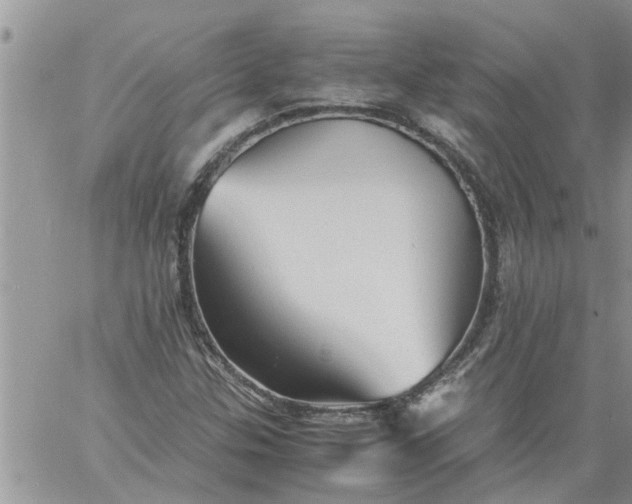 X0000060781307200511241809