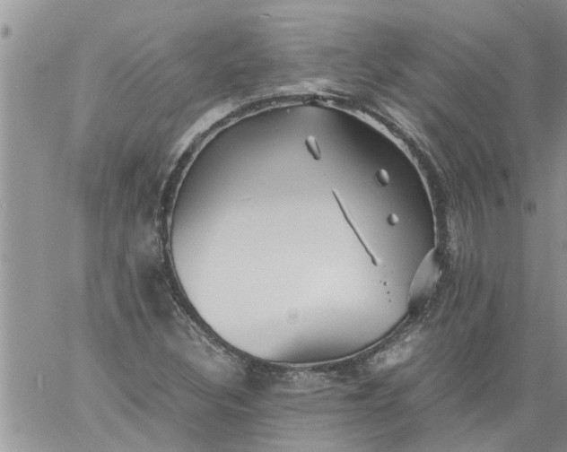 X0000060781308200511241809