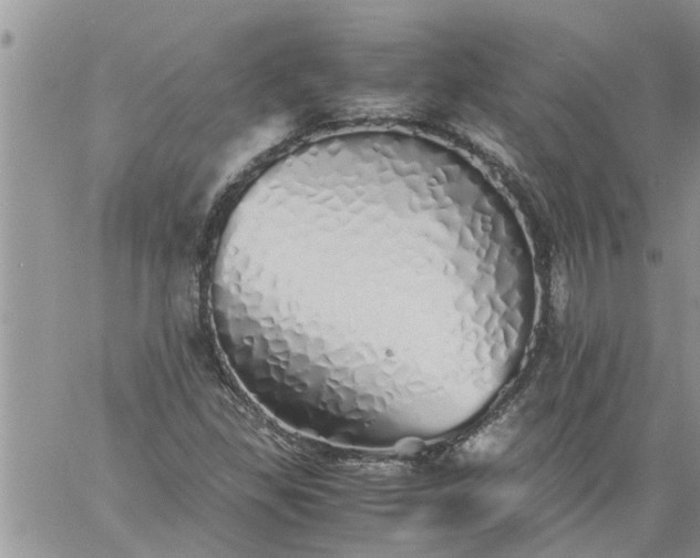 X0000060781309200511241809