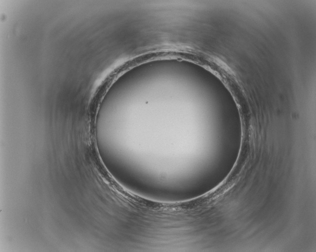 X0000060781310200511241809