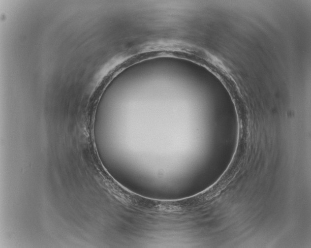 X0000060781312200511241809