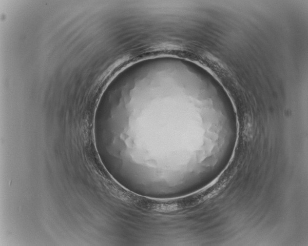 X0000060781313200511241809