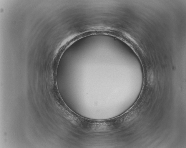 X0000060781315200511241809