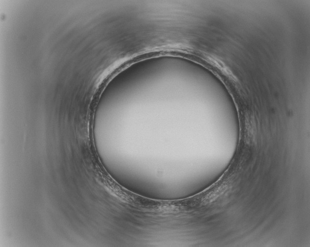 X0000060781316200511241809