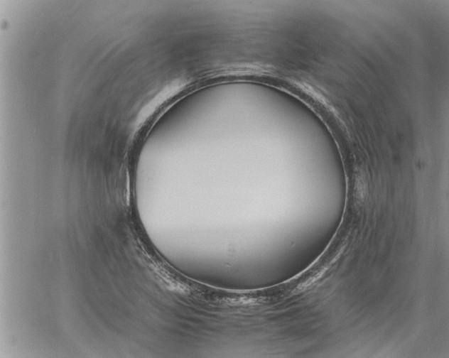 X0000060781317200511241809