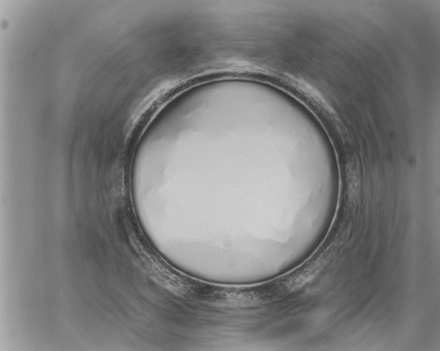 X0000060781318200511241809