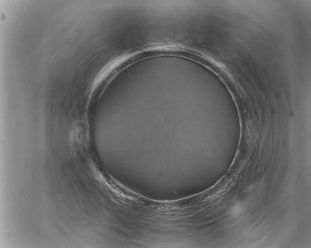 X0000060781319200511241809