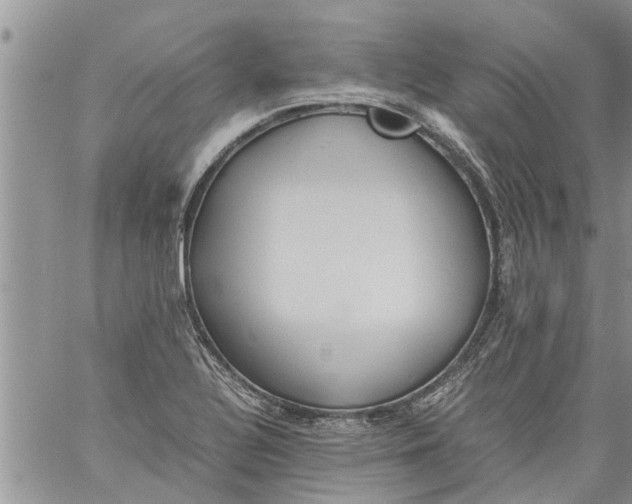 X0000060781320200511241809