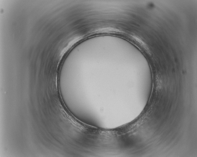 X0000060781322200511241809