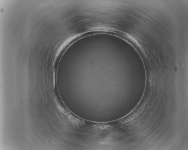 X0000060781323200511241809