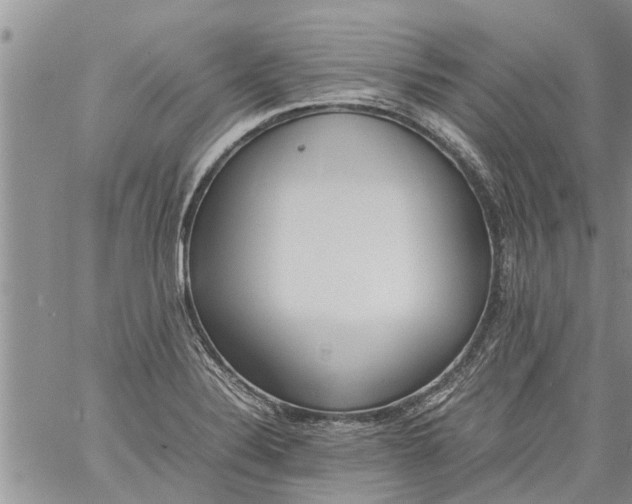 X0000060781324200511241809