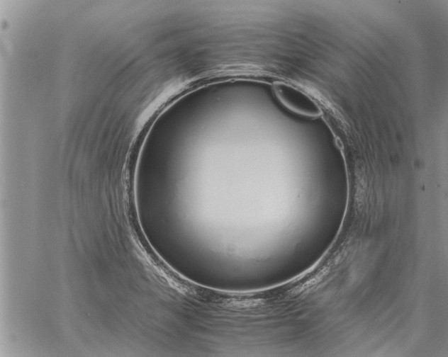 X0000060781325200511241809