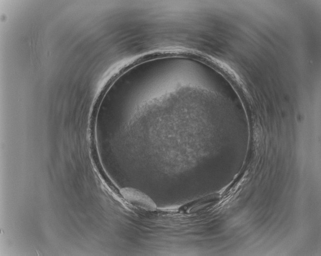 X0000060781327200511241809