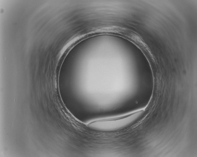 X0000060781328200511241810