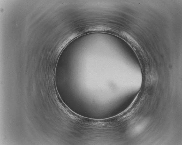 X0000060781329200511241810