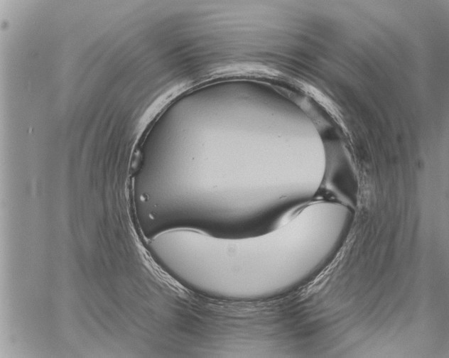 X0000060781330200511241810