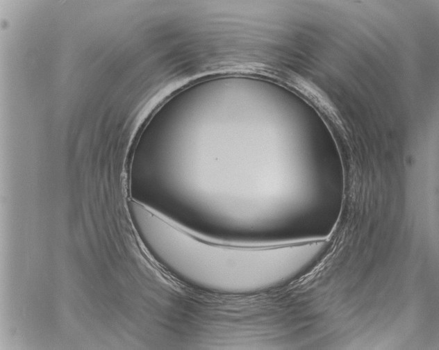 X0000060781332200511241810