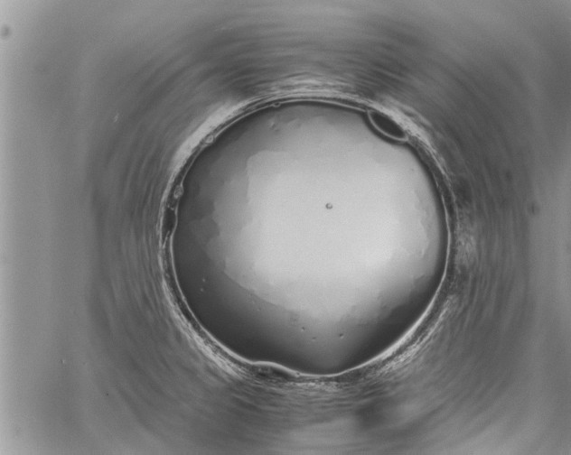 X0000060781333200511241810