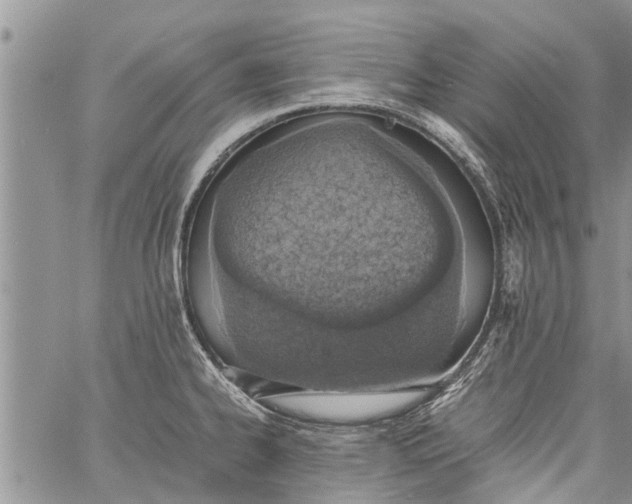 X0000060781334200511241810