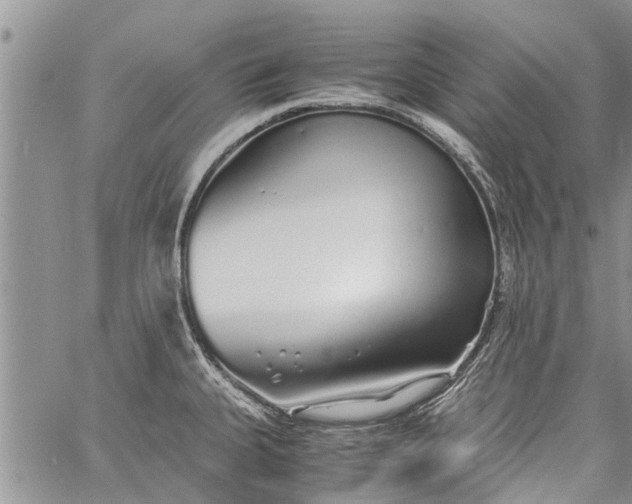 X0000060781335200511241810