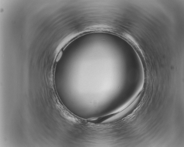 X0000060781336200511241810