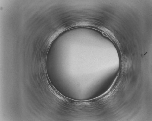 X0000060781337200511241810