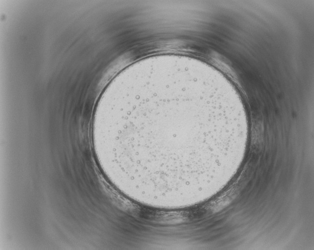 X0000060781338200511241810