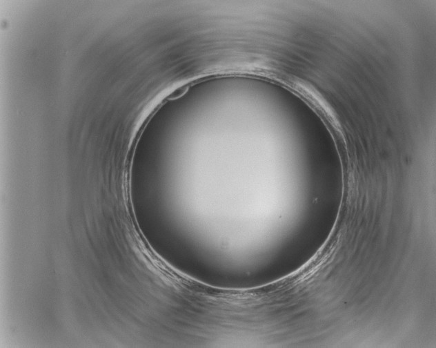 X0000060781340200511241810