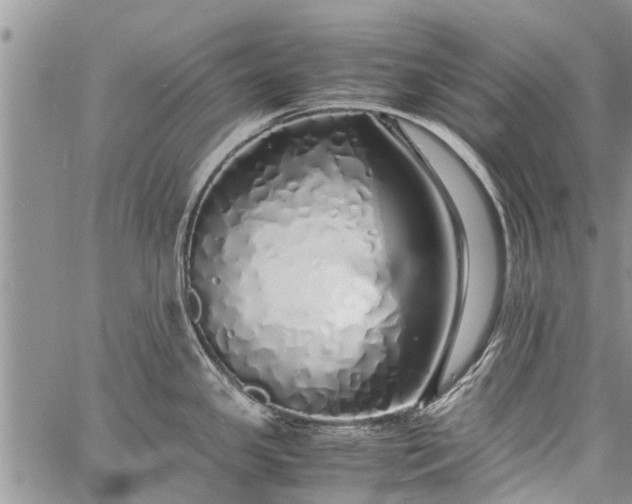 X0000060781341200511241810