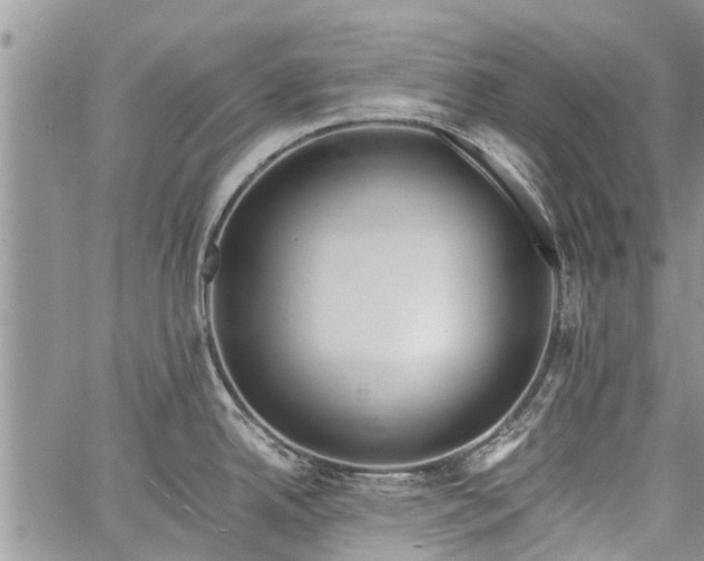 X0000060781342200511241810