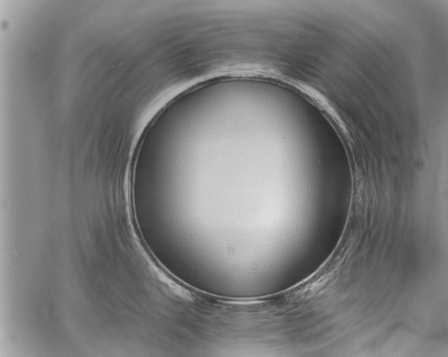 X0000060781343200511241810