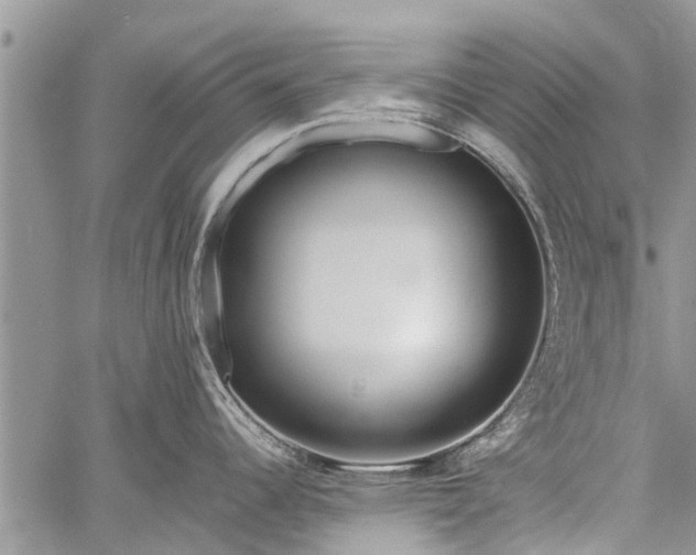 X0000060781344200511241810