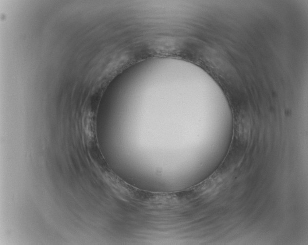 X0000060781346200511241809