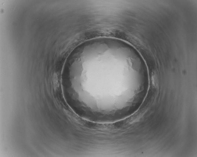 X0000060781347200511241809