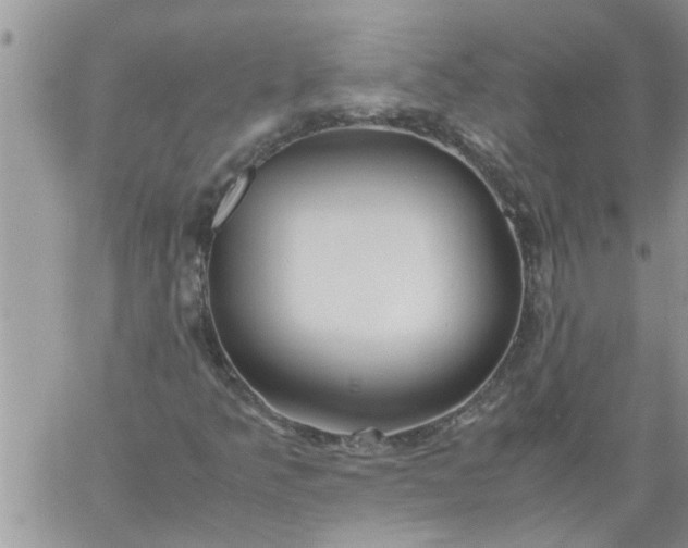 X0000060781349200511241809