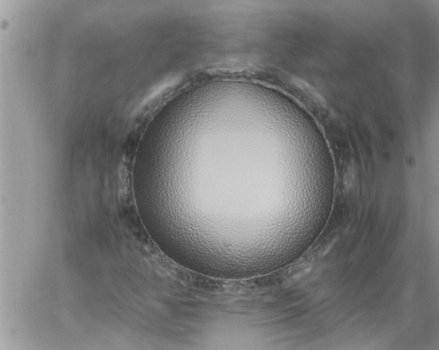 X0000060781350200511241809